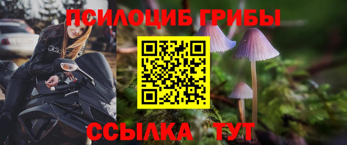 хочу наркоту  Галлюциногенные грибы MAGIC MUSHROOMS  Вход с VPN  Елизово 